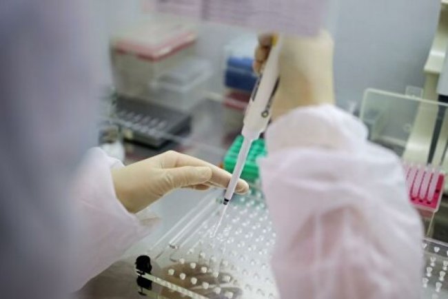 В Узбекистане коронавирус выявлен еще у 44 граждан