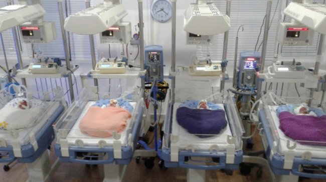 В Намангане у семьи родилась четверня