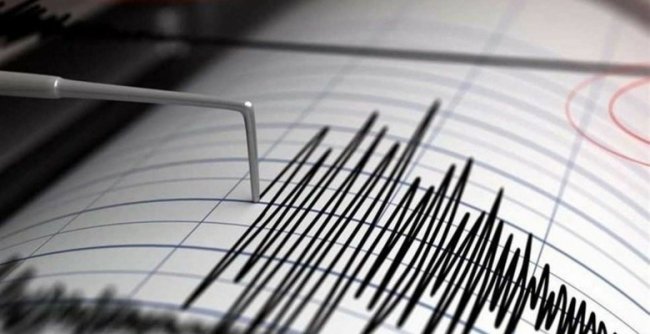 В нескольких городах Узбекистана ощущалось землетрясение до 4 баллов