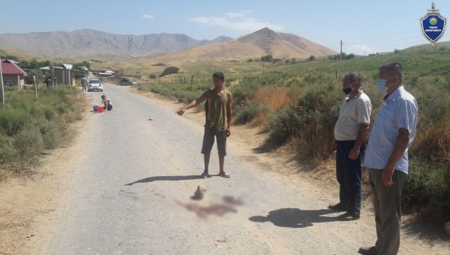 В Кашкадарьинской области молодой парень задавил 7-летнюю девочку на грузовике