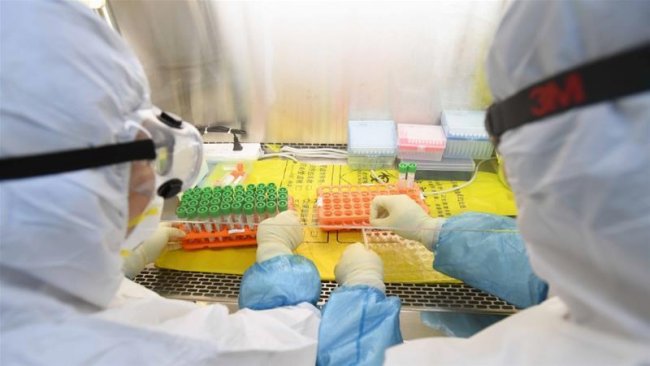 Немецкие врачи помогут узбекским коллегам в борьбе с коронавирусом