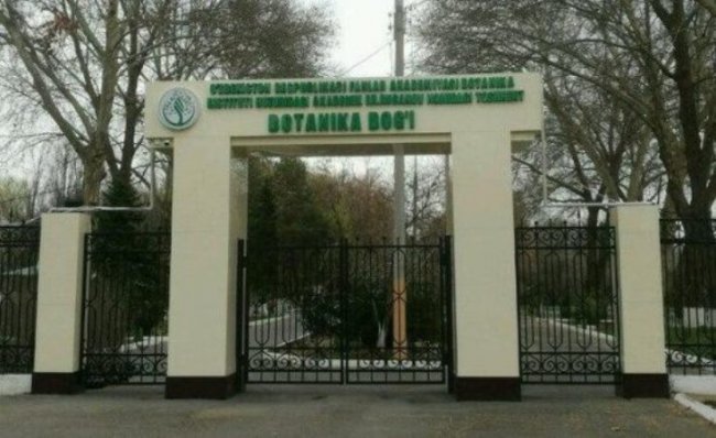 В Ташкенте временно закроют ботанический сад