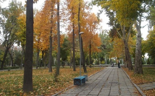 В Узбекистане ожидается понижение температуры воздуха