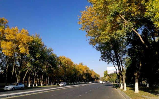 В Узбекистане ожидается понижение температуры воздуха и кратковременные осадки