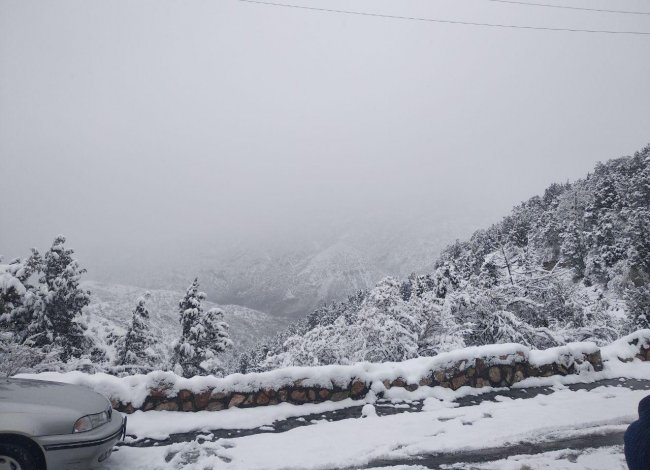 Фоторепортаж: Снег в Джизакской области