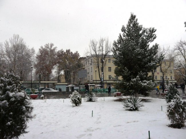 18 ноября в Ташкенте ожидается снег
