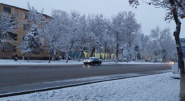 Синоптики рассказали о погоде на 19 ноября в Узбекистане