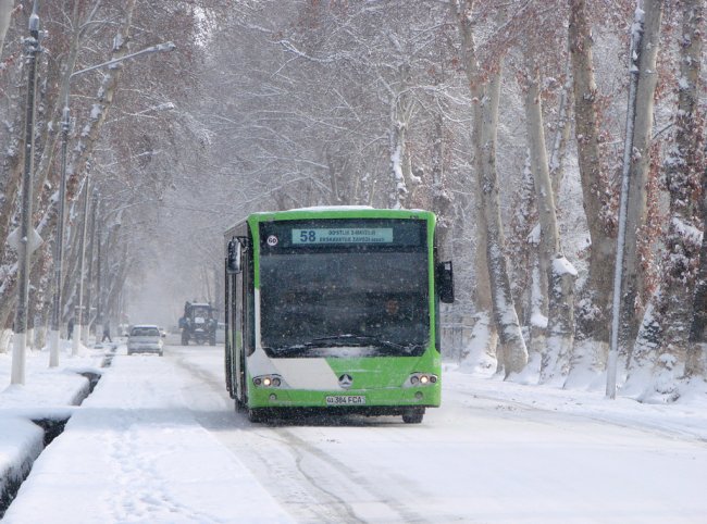 В Ташкенте увеличат количество автобусов
