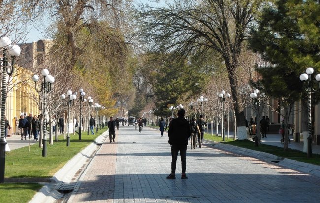 Синоптики рассказали о погоде на 11 декабря в Узбекистане