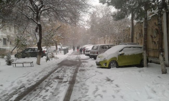 Синоптики рассказали, когда вновь ожидать снег в Узбекистане