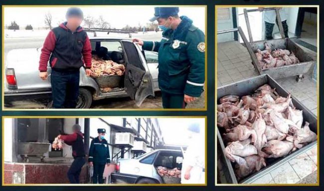 В МВД рассказали, как перевозят куриное мясо, которое продается на рынках Узбекистана