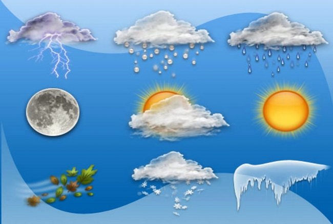 Погода в Ташкенте на сегодня: особенности зимы в городе