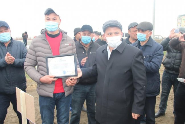 12 гектаров земель – 60 молодым людям из Джамбая