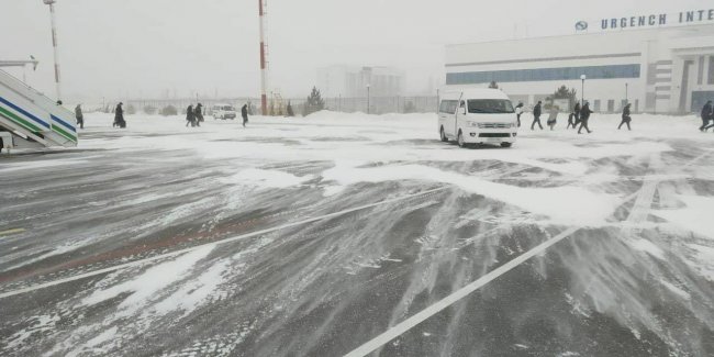 Видео: Сильный снегопад в Хорезме