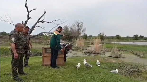 Видео: Сотни животных из Ташкентского зоопарка были выпущены на волю