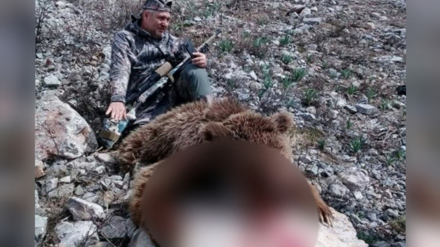 В Госкомэкологии прокомментировали убийство медведя с их разрешения