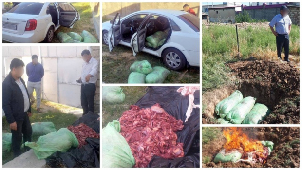 В Кашкадарьинской области пытались провезти 450 кг непригодной мясной продукции