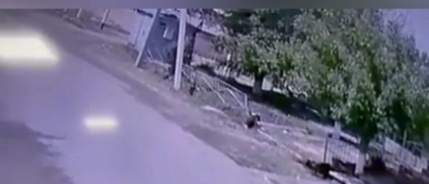 Видео: Ташкентском районе юноша погиб от удара током
