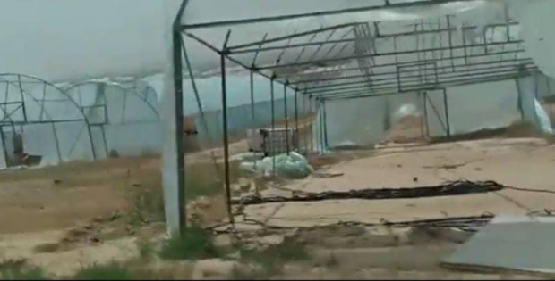 Видео: Хокимият Чартакского района прокомментировал факт 1000 заброшенных теплиц