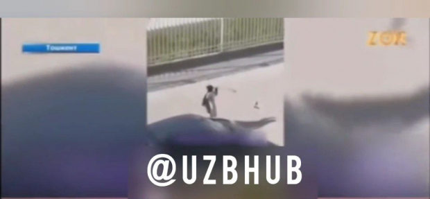 Видео: В Ташкенте женщина изуродовала автомобиль мужа из-за семейного скандала