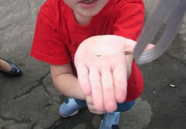 В Андижане женщина, заставлявшая сына попрошайничать будет лишена родительских прав