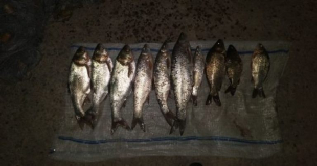 В Ташобласти рыбаки незаконно наловили рыбы на два миллиона сумов