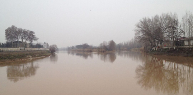 В Хорезмской области 82-летняя женщина чуть не утонула в канале