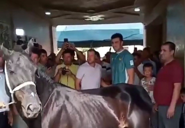 Хоким Сариасийского района подарил Баходиру Жалолову породистого коня