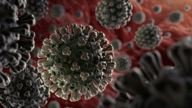 Разведка США рассекретила отчет об изучении происхождения коронавируса