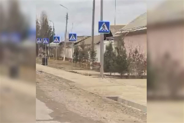 В Ташкентской области прокомментировали установку 20 пешеходных знаков подряд на расстоянии 120 метров