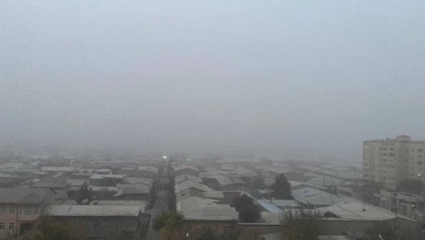 Стало известно, в каких регионах Узбекистана ожидается пыльная мгла