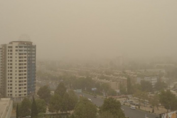В Узгидромете опровергли информацию о пыльной мгле в Ташкенте