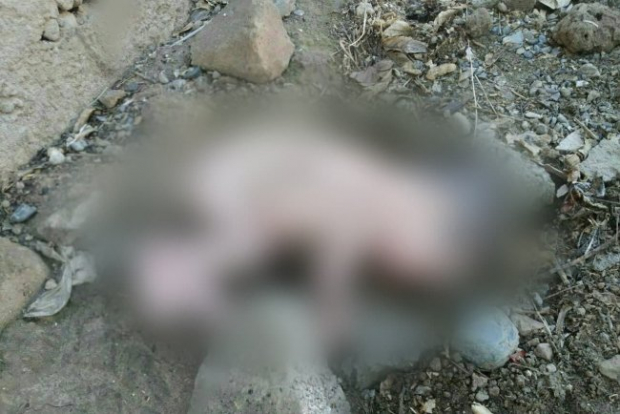 В Андижанской области найден труп новорожденного ребенка