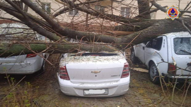 В столице из-за сильного ветра упало дерево и повредило сразу шесть автомобилей