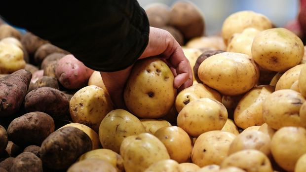 В Узбекистане назвали страну, которая больше всех импортирует картофель в Республику