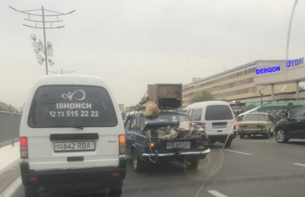 В Ташкентской области водитель ехал с привязанной к багажнику собакой