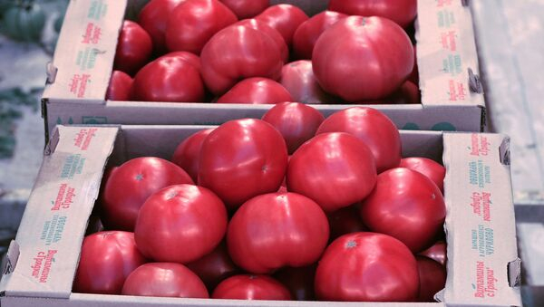 Куда чаще всего экспортировал помидоры Узбекистан в марте?