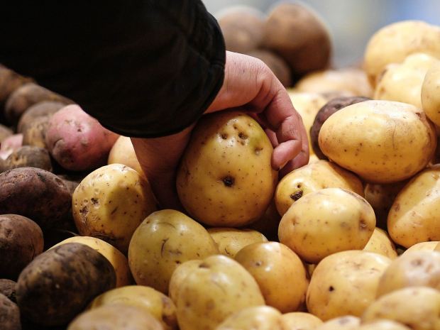 Власти Узбекистана обещают не допустить дефицита картофеля
