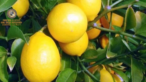Мужчина из Ферганской области может получить 3 года тюрьмы за присвоение лимонов