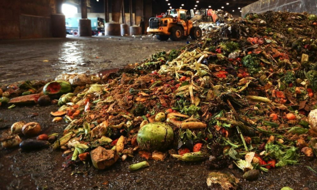 Стало известно, сколько тонн продуктов выбрасываются торговыми сетями Узбекистана