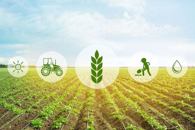 Какие льготные кредиты будут предоставлять сельхоз предприятиям Узбекистана?