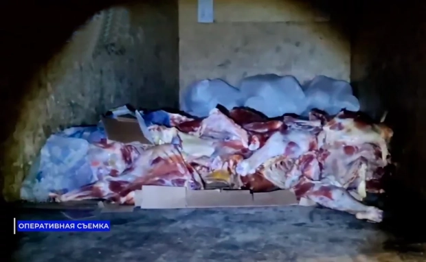 В Ташкент пытались ввести полтонны мяса больных животных