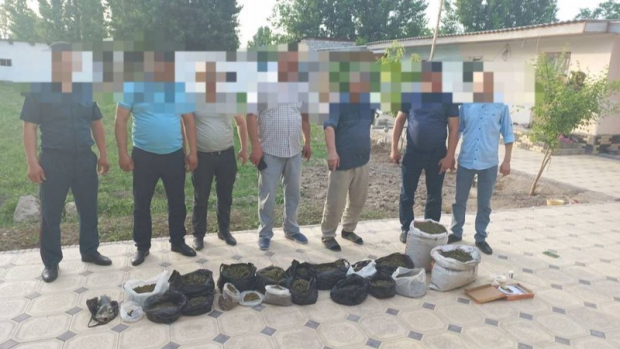 В спальной комнате одного из домов Сырдарьинской области найдено порядка 15кг наркотиков