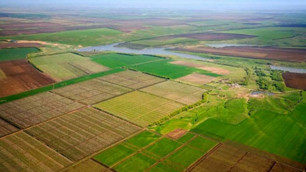 В Узбекистане упростили процедуру получения сельхоз земли в аренду