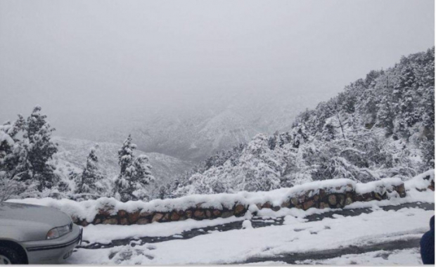 В горных районах Узбекистана прогнозируют снегопад