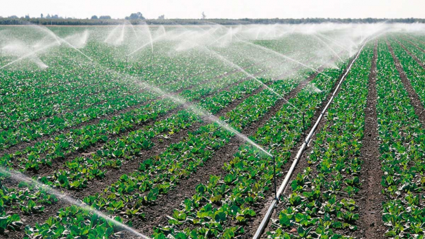 Сельское хозяйство Узбекистана в этом году может столкнуться с дефицитом воды