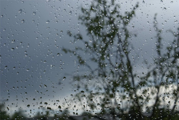 14 мая в Ташкенте ожидается дождь