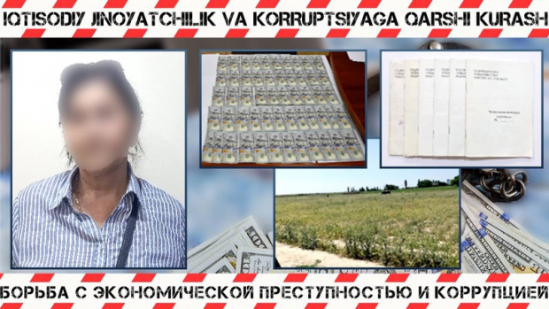 Мошенница пыталась продать государственную землю в Пскенте
