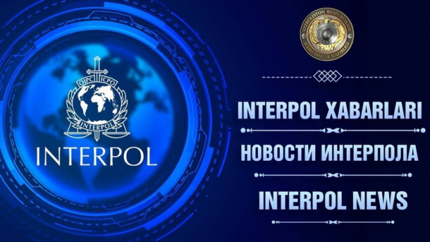 24 мая начался курс онлайн-вебинаров Интерпола для Института повышения квалификации МВД Узбекистана