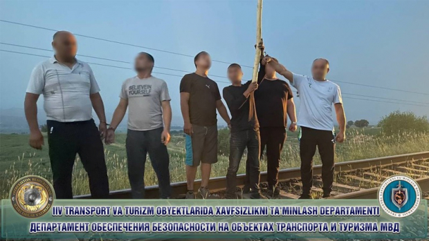 В Ташкентской области задержали преступную группу, которая занималась воровством высоковольтного кабеля